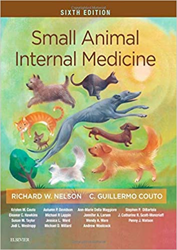 Small Animal Internal Medicine 6th Ed