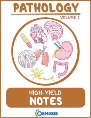 Osmosis High Yield Notes Pathology Vol 1 & 2