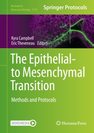The Epithelial to Mesenchymal Transition Methods and Protocols