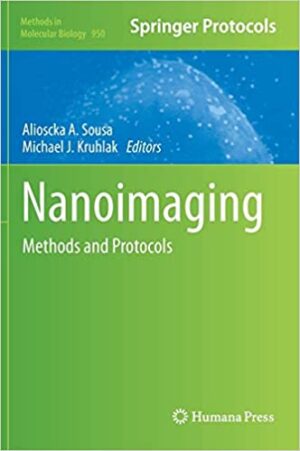 Nanoimaging Methods and Protocols